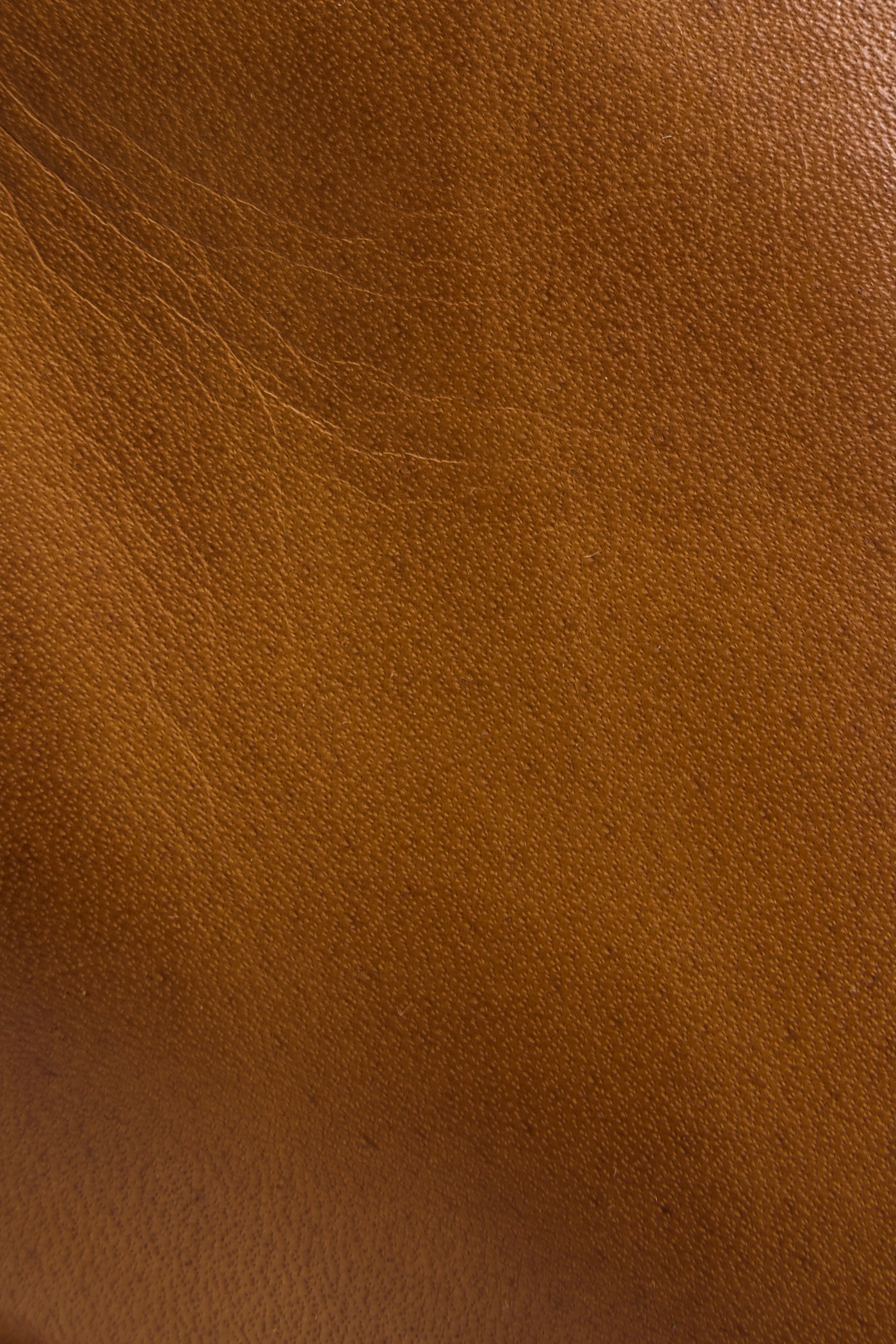 Nora Zip Short - Pre-Loved