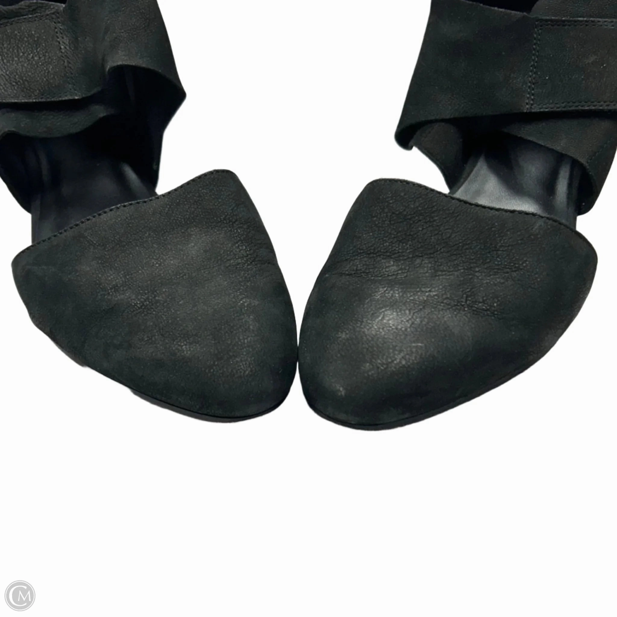 Shoes Heels Block By Eileen Fisher In Black, Size: 8.5